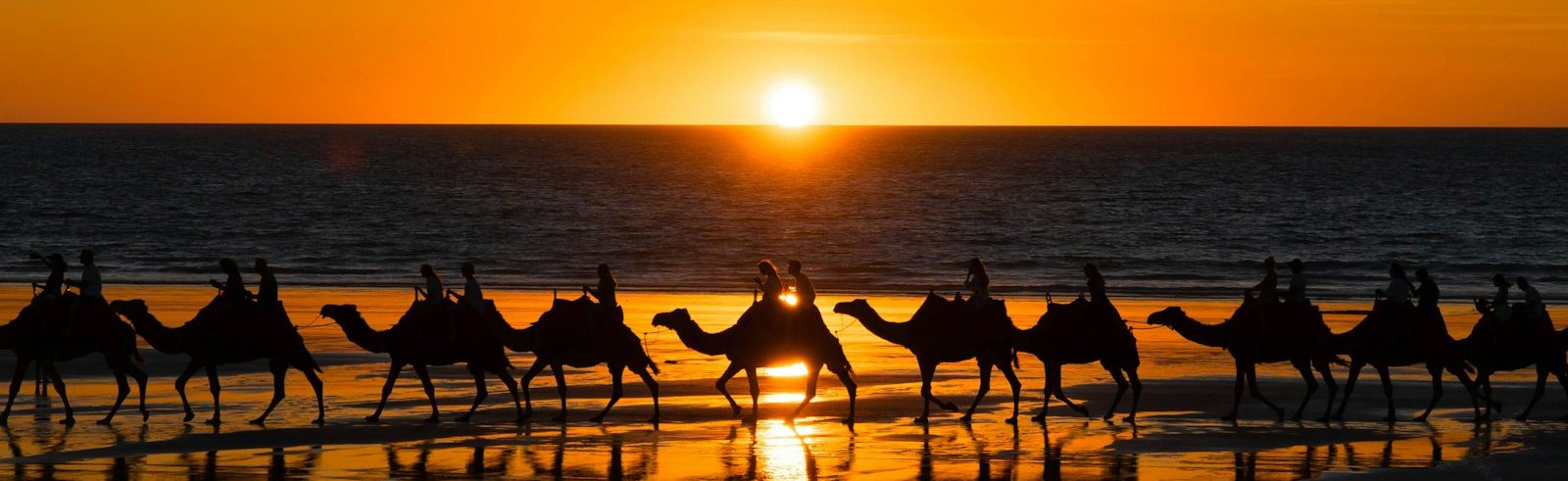 a group of people riding on the backs of camels on a beach