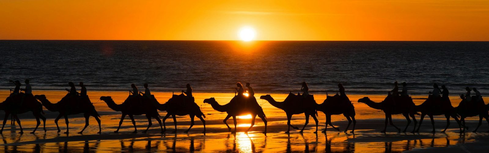 a group of people riding on the backs of camels on a beach