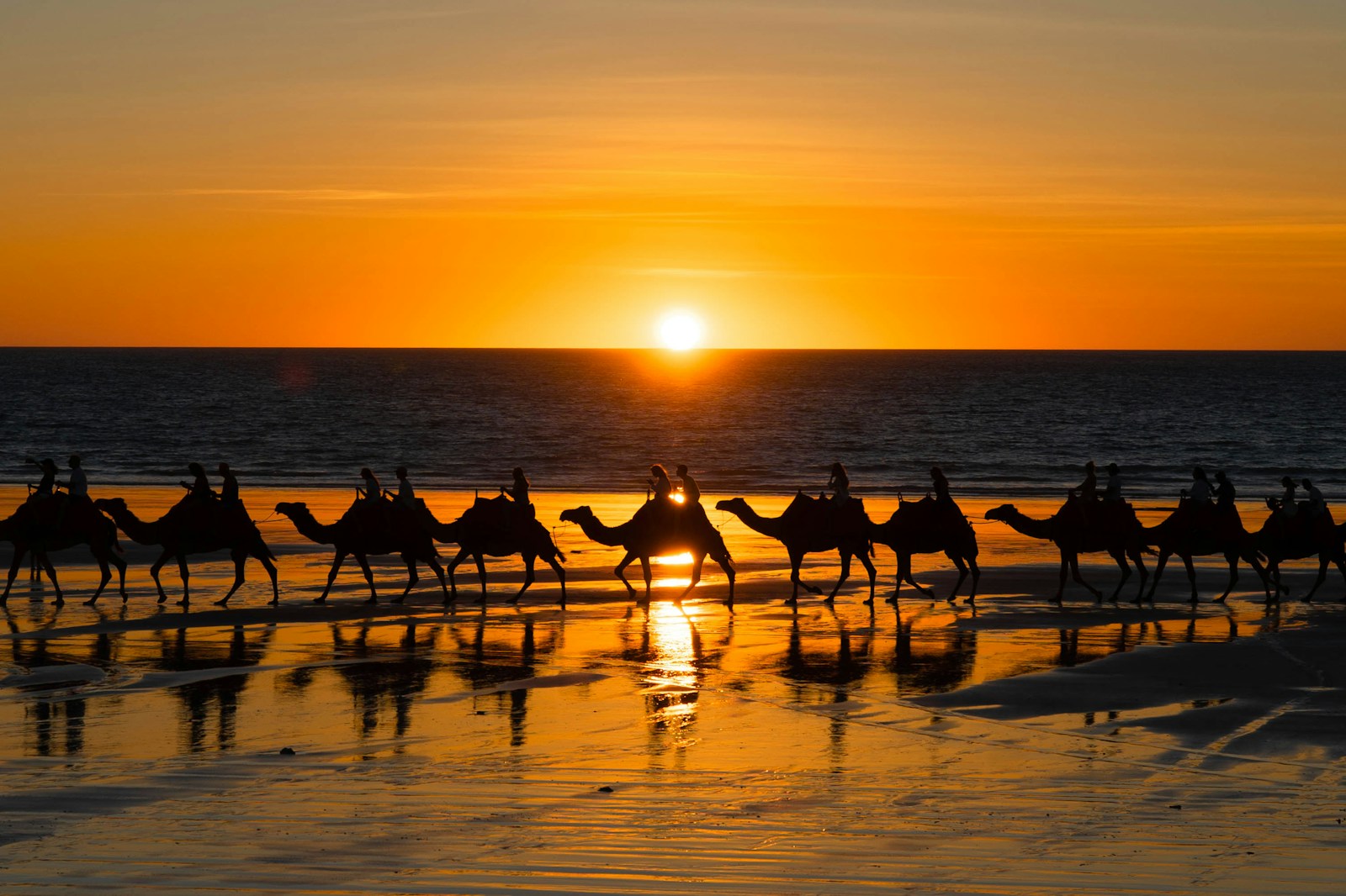 Photo by Christian Taylhardat a group of people riding on the backs of camels on a beach