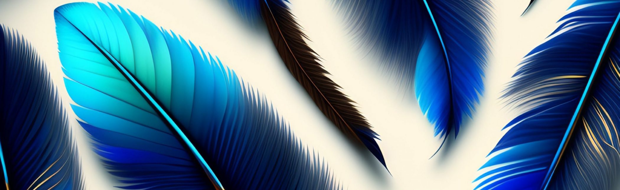 WebDesign 20