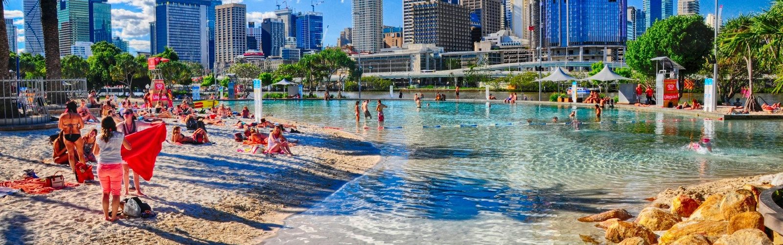 people on beach during daytime