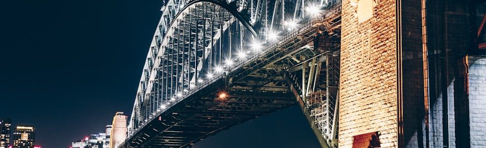 black and brown concrete bridge during night time